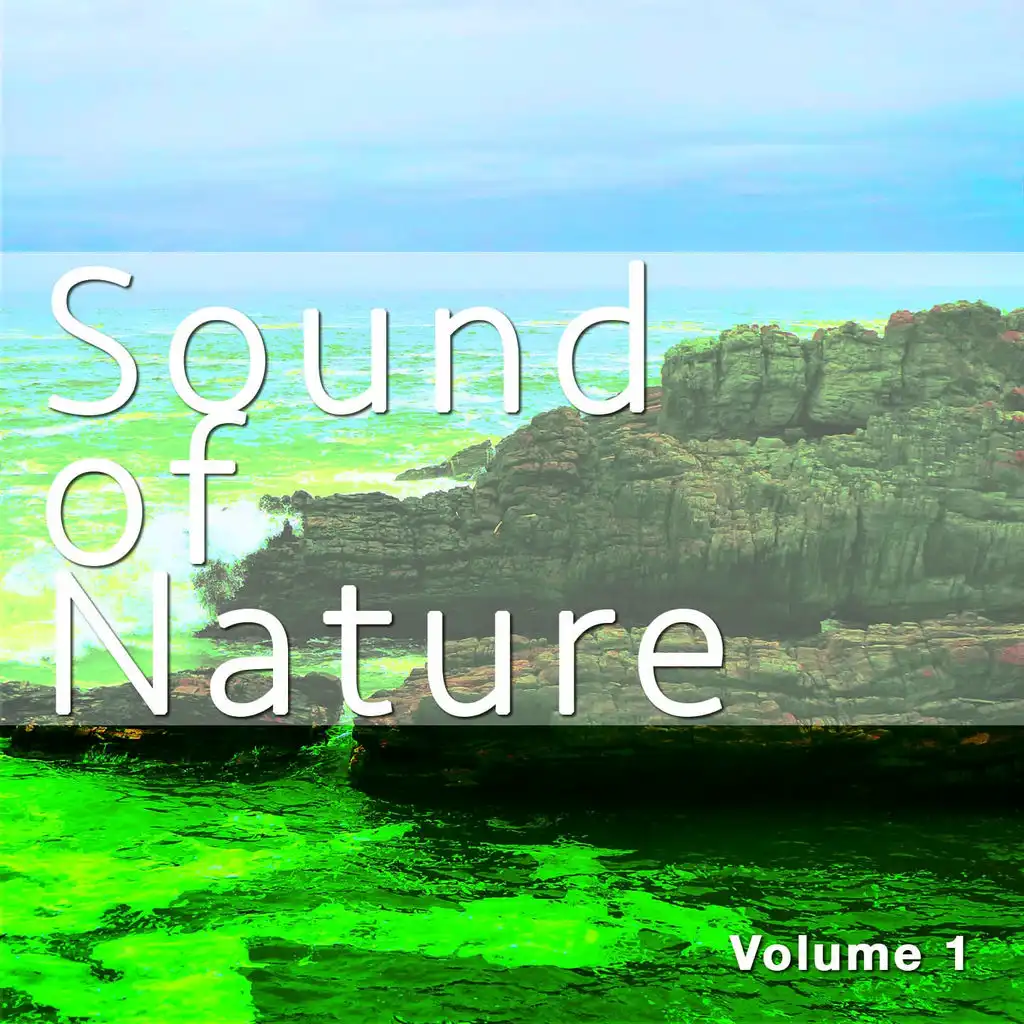 Sound of Nature, Vol. 1 (Pure Chill out & Meditation Grooves)