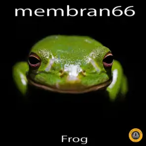 membran 66