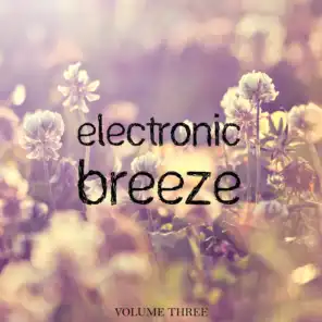 Electronic Breeze, Vol. 3