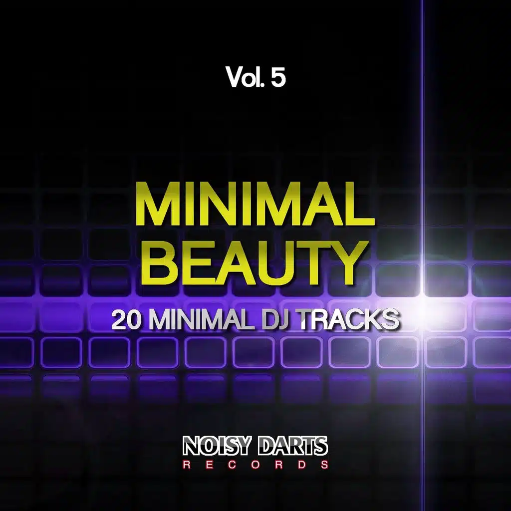 Minimal Beauty, Vol. 5 (20 Minimal DJ Tracks)