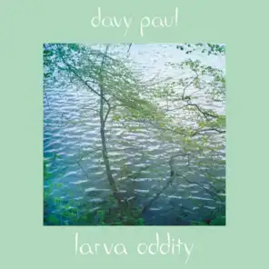 Davy Paul