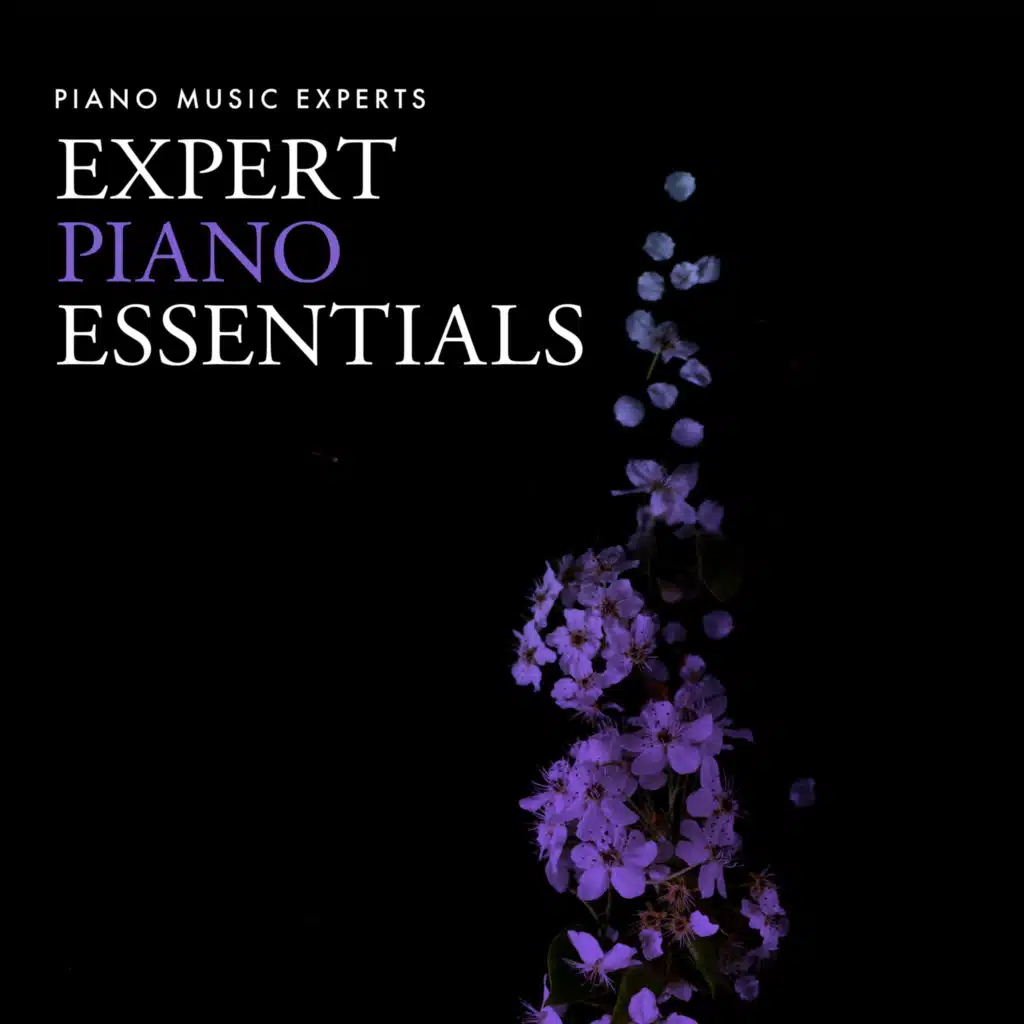 Piano Music Experts