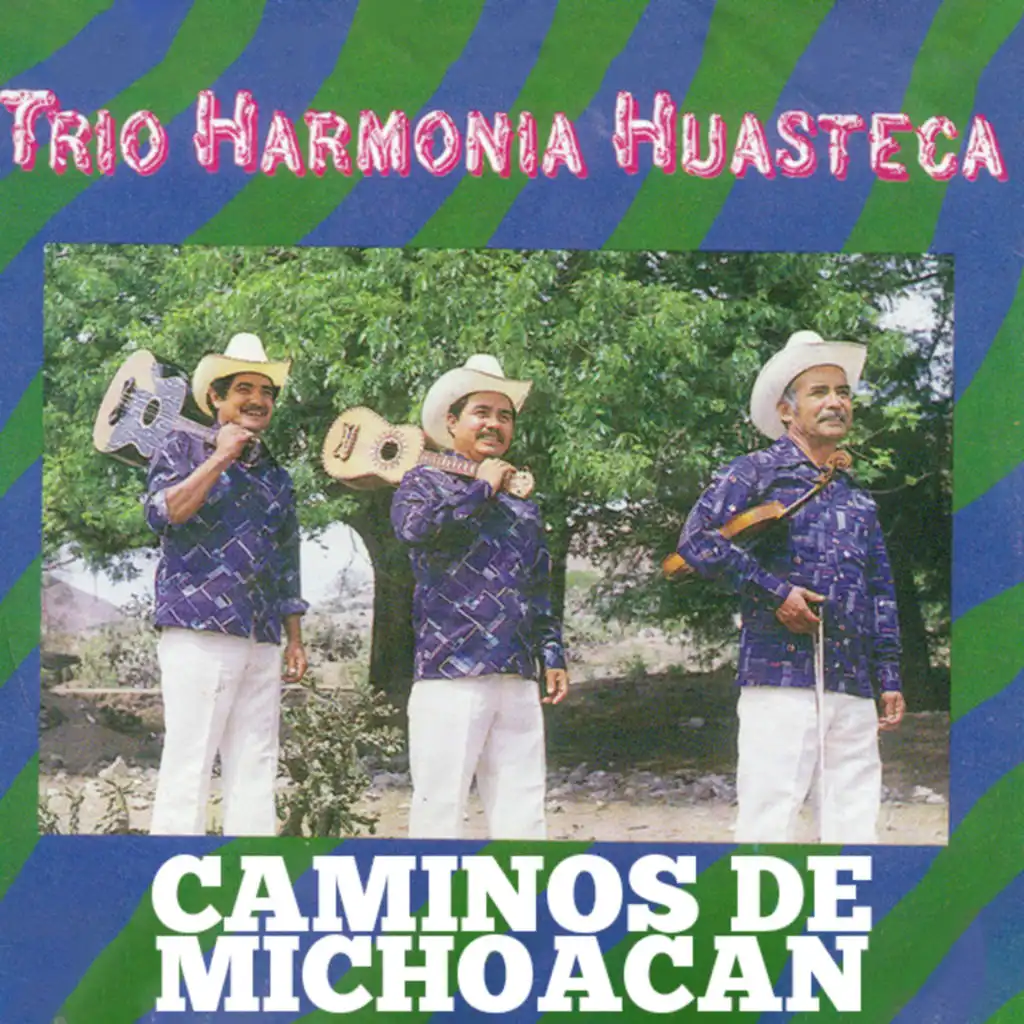 Caminos de Michoacan