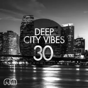 Deep City Vibes, Vol. 30