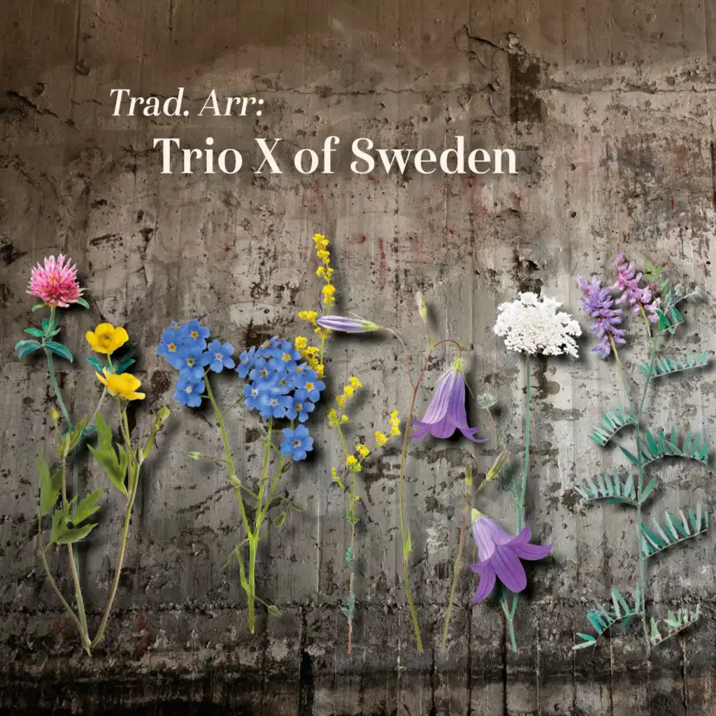 Trio X of Sweden & trad