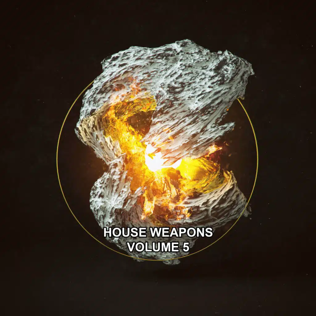 House Weapons, Vol. 5