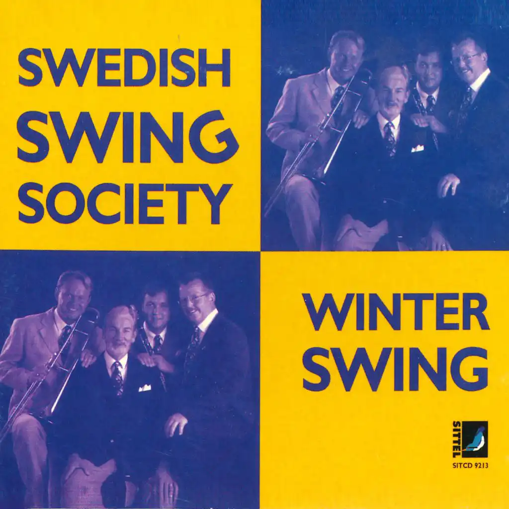 Winter Swing