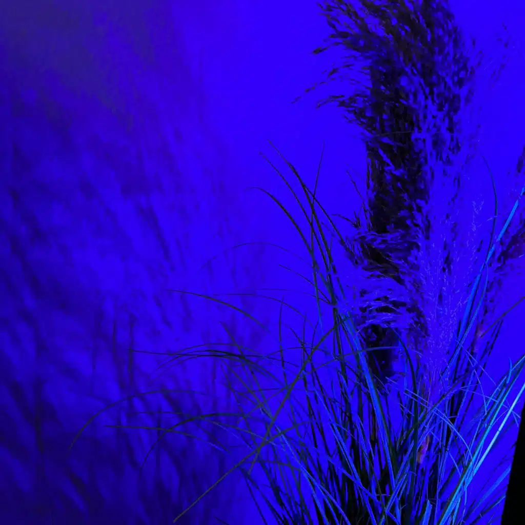 THE WAKE (feat. Ryza)