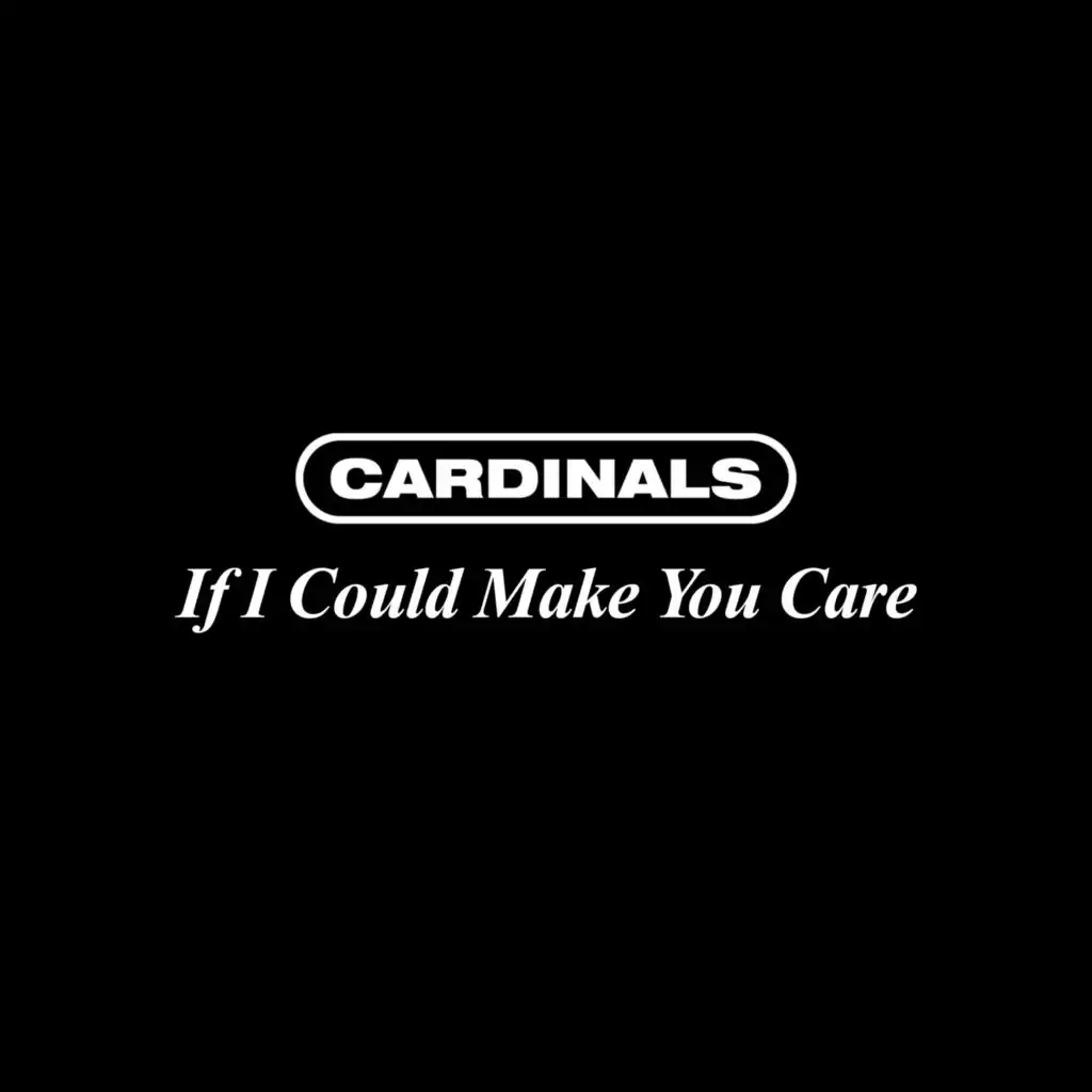 If I Could Make You Care