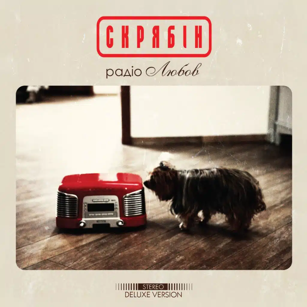 Кинули (Remix)