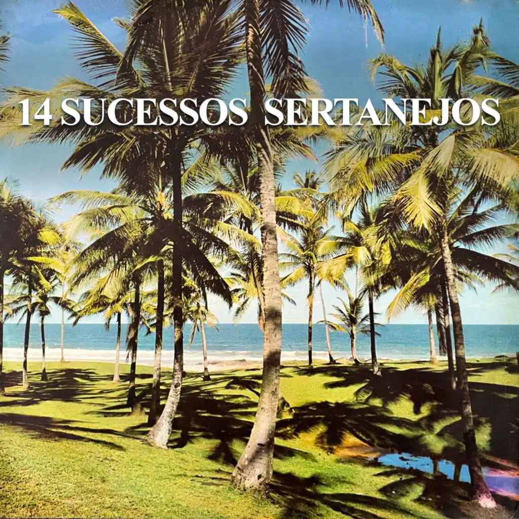 14 Sucessos Sertanejos