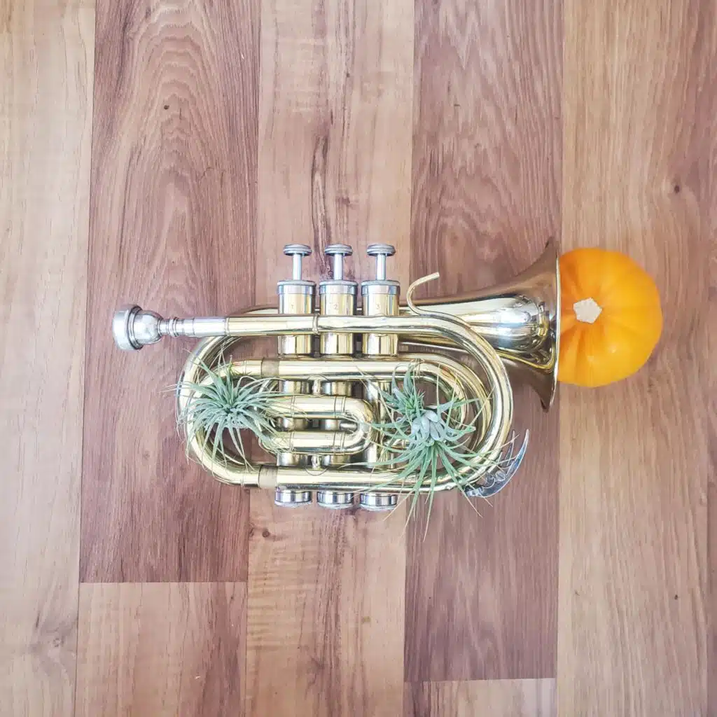 The Vignes Rooftop Revival