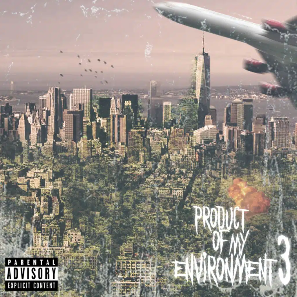 Product of My Environment 3