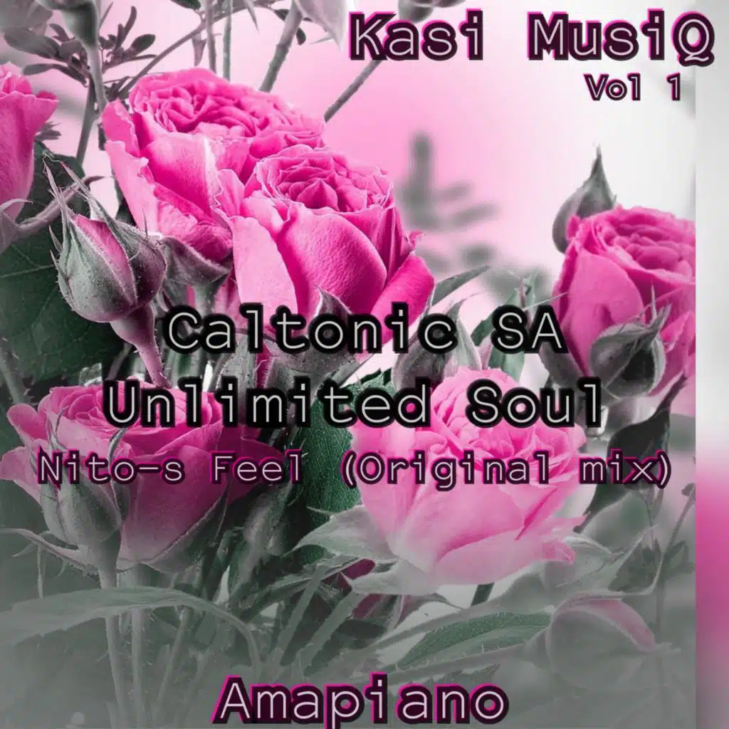 Nito-S Feel (feat. Unlimited Soul)