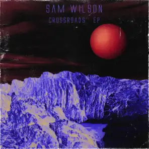 Sam Wilson