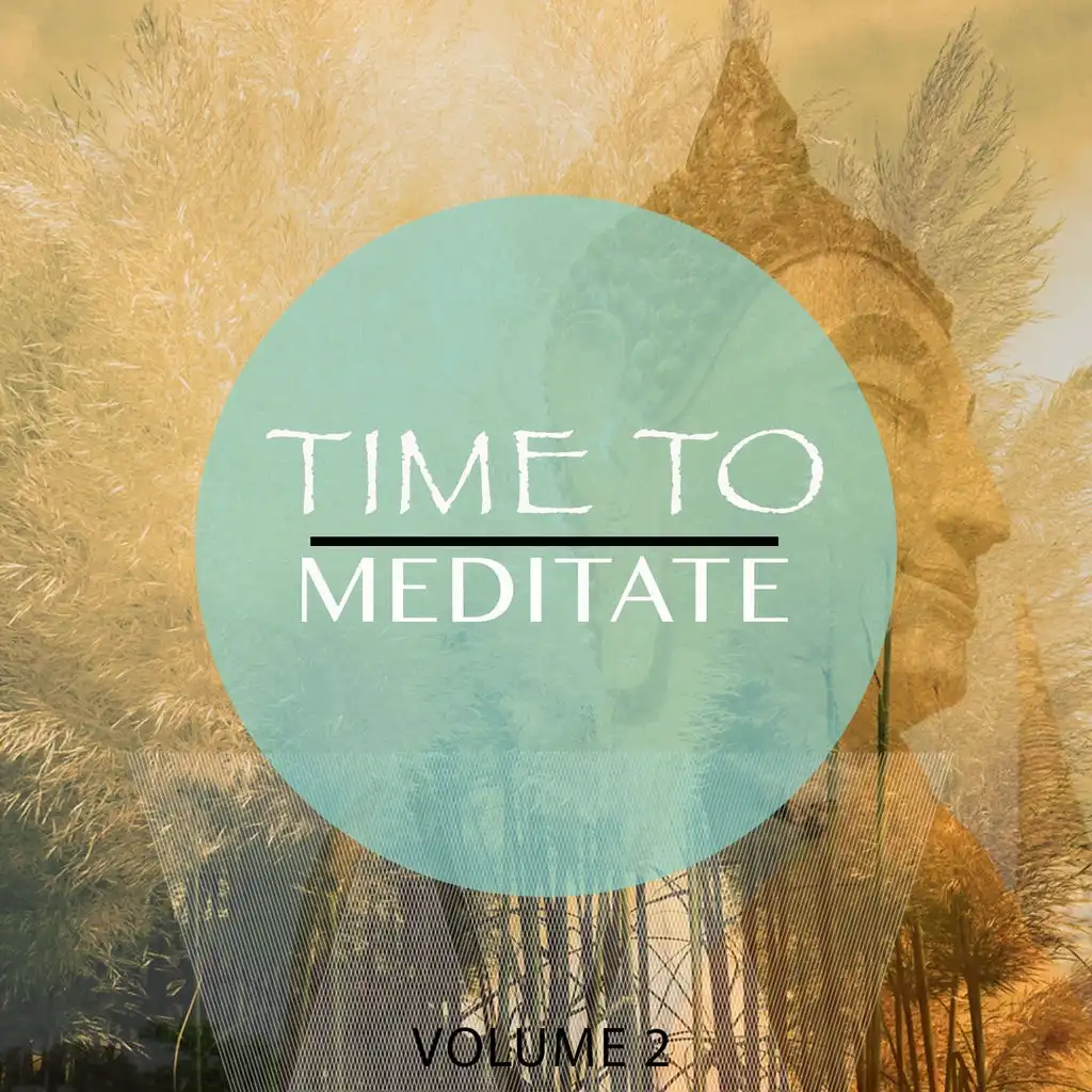 Time To Meditate, Vol. 2 (Finest Relaxation, Wellness & Yoga Music)