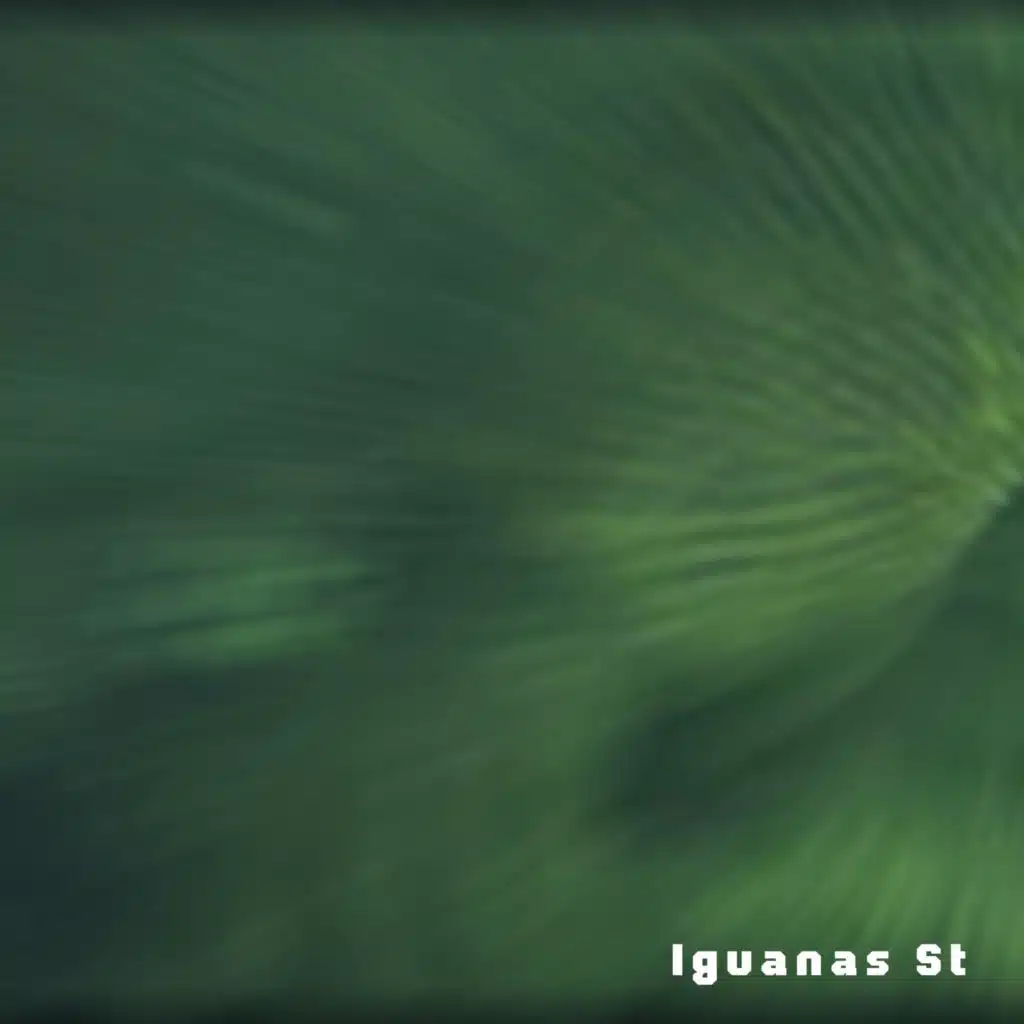 Iguanas St