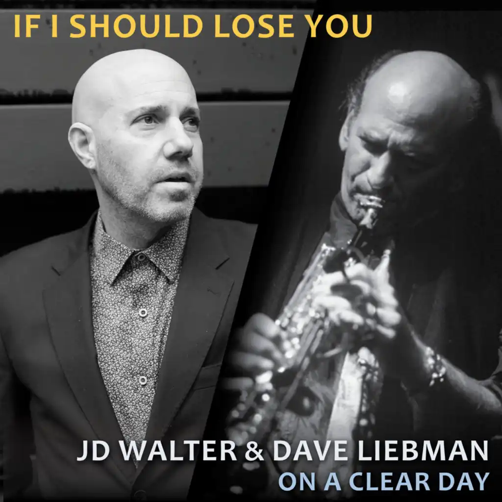 If I Should Lose You (feat. Jim Ridl, Ari Hoenig & Steve Varner)