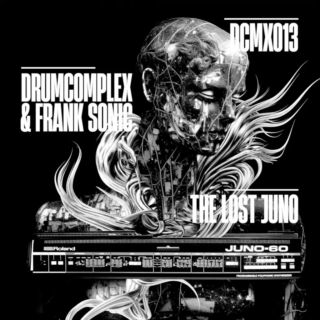 Drumcomplex & Frank Sonic