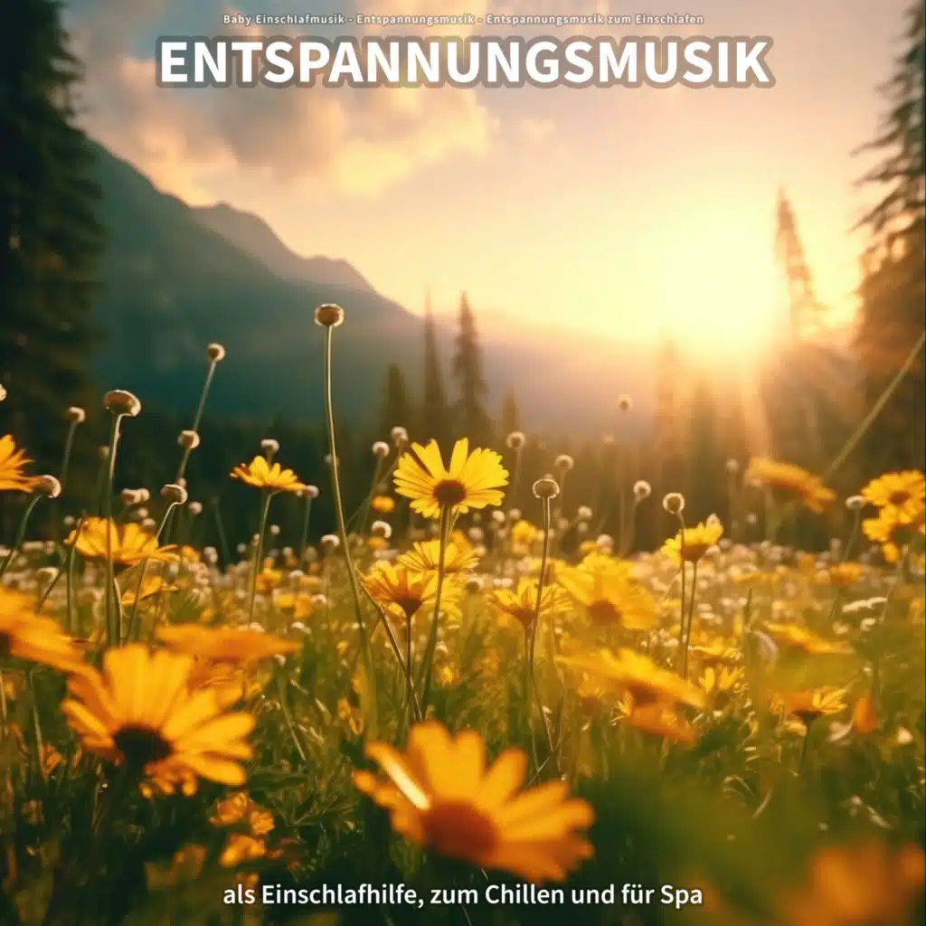 Baby Einschlafmusik, Entspannungsmusik zum Einschlafen & Entspannungsmusik