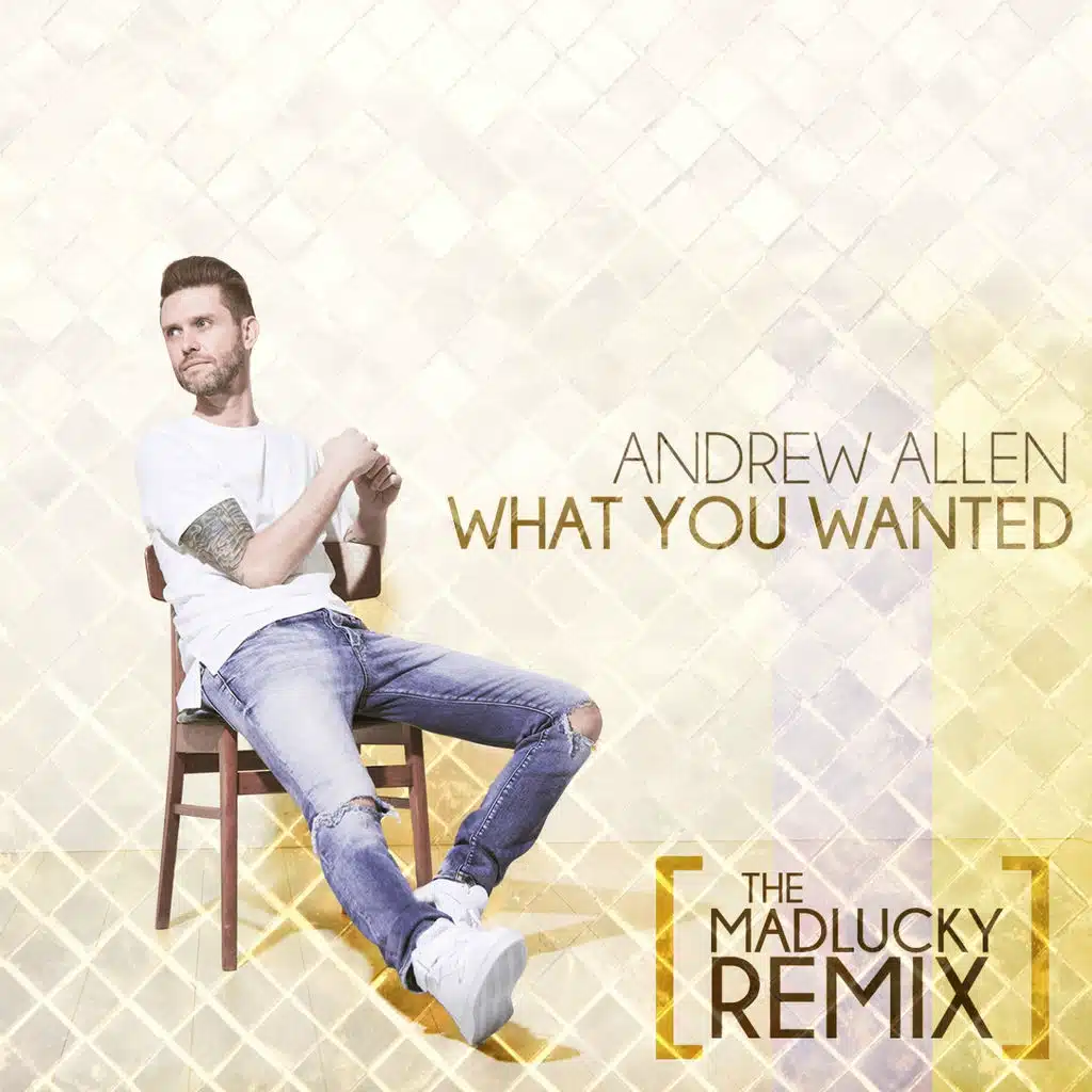 What You Wanted (The Madlucky Remix) [feat. Troy Samson]