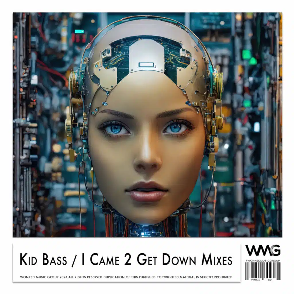 I Came 2 Get Down Mixes