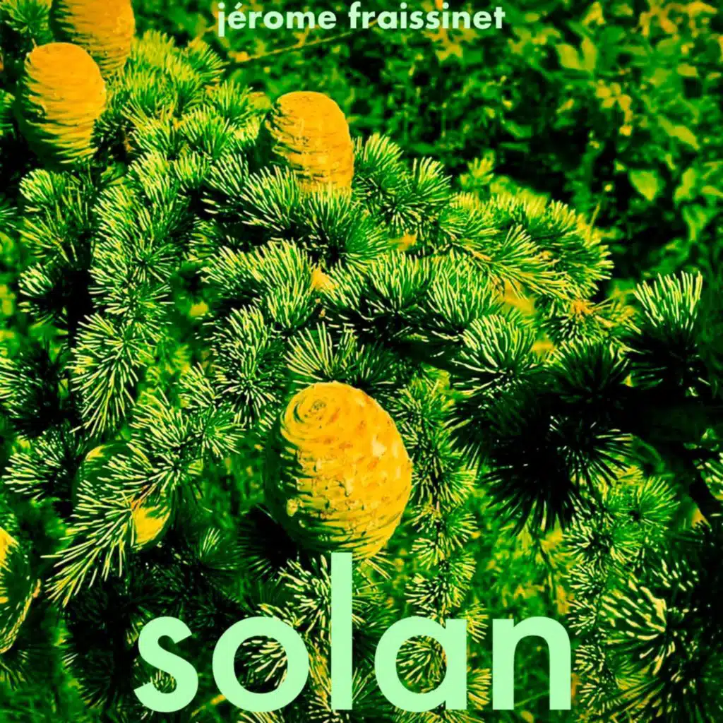 Solan