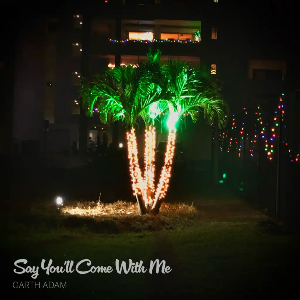 Say You'll Come With Me (Radio Edit)