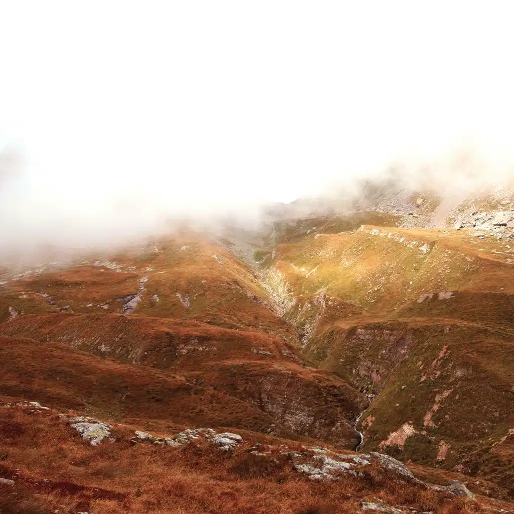 Quassù c'è quasi tutto