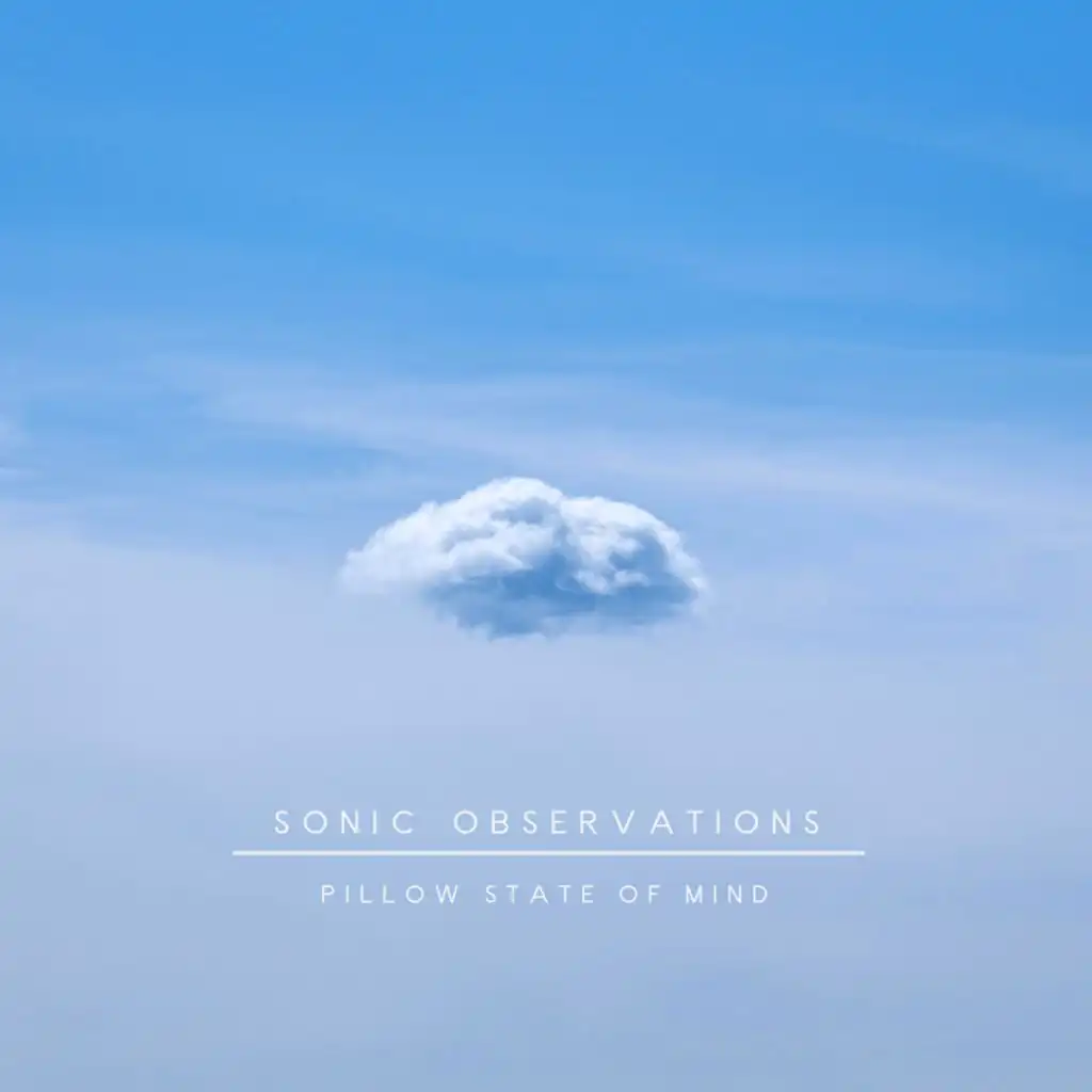Sonic Observations