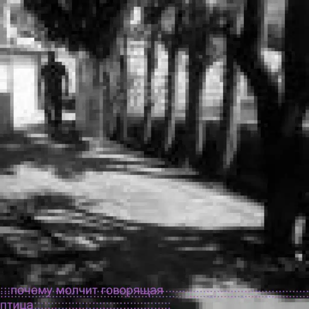 Почему молчит говорящая птица (feat. T. Bird)