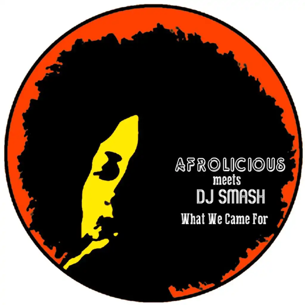 What We Came For (DJ Smash Teknocracry Mix)