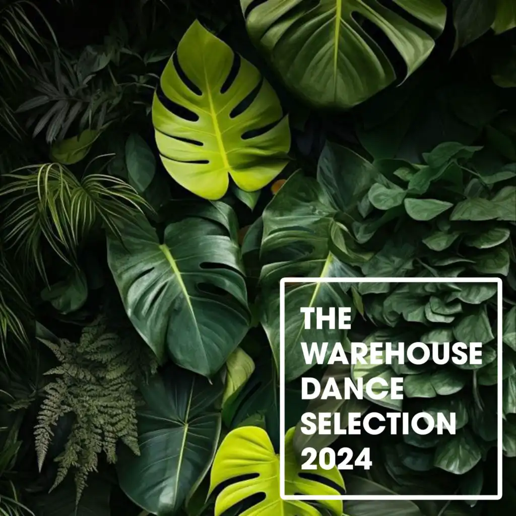 The Warehouse Dance Selection 2024