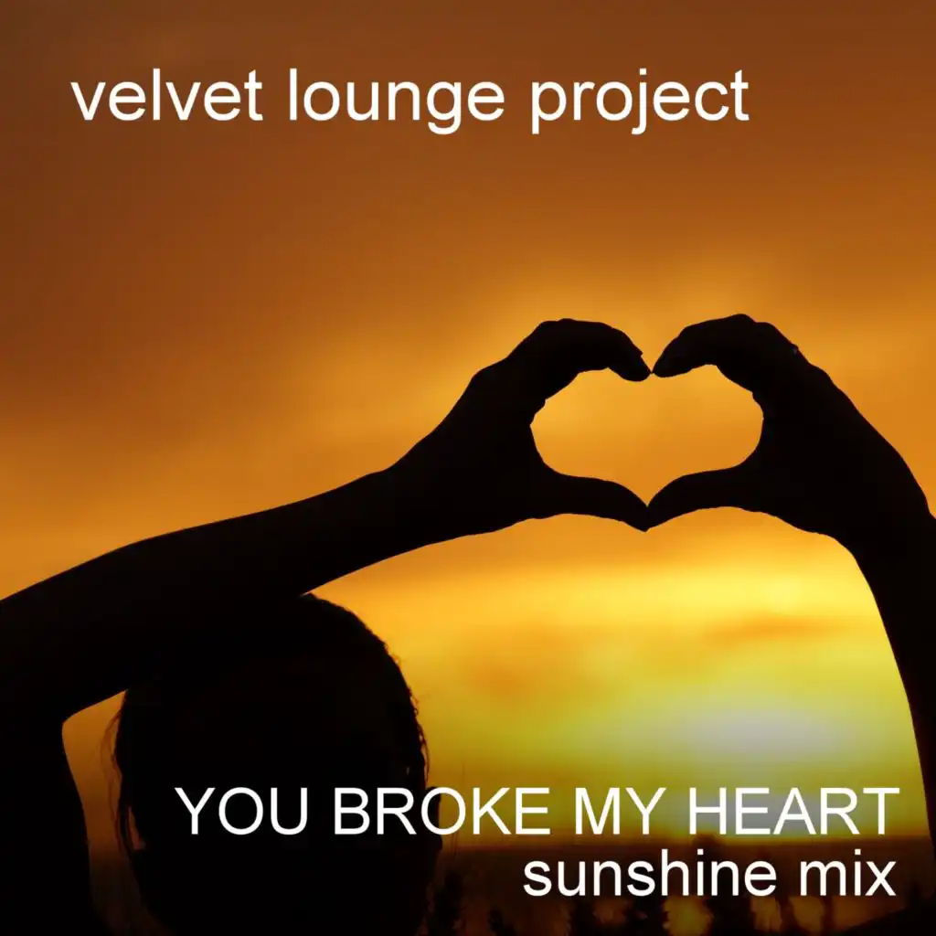 You Broke My Heart (Video Cut) [feat. DJ Sleeptalker]