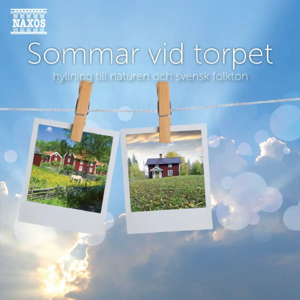Gotländsk sommarnatt (Summer Night in Gotland) [Arr. B. Eklund and J. Johansson]