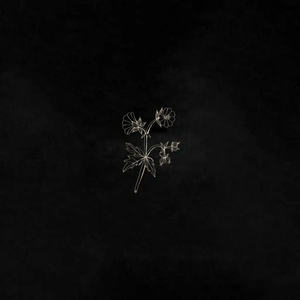 Immersive Live Sessions