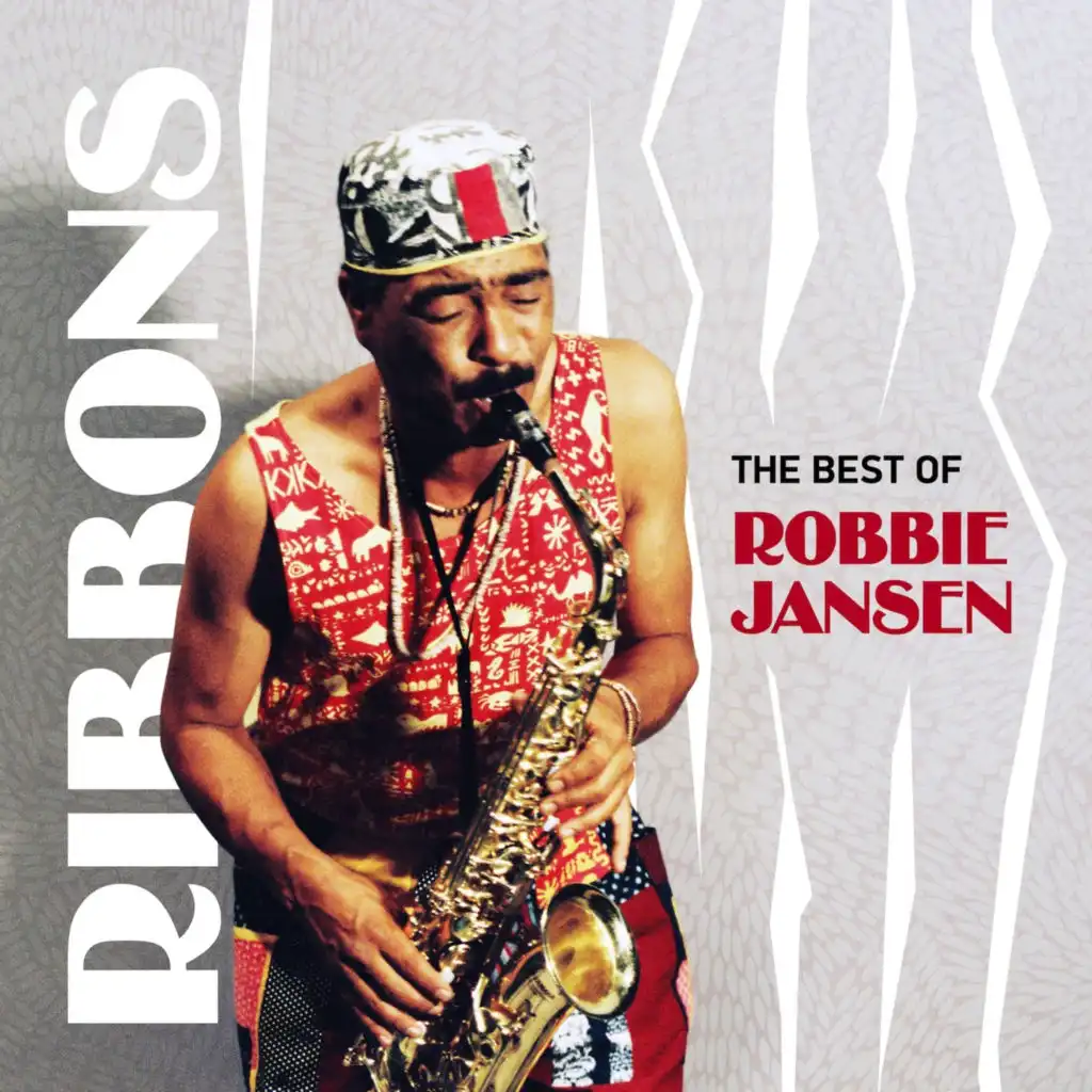 The Best of Robbie Jansen (2013 Remastered)