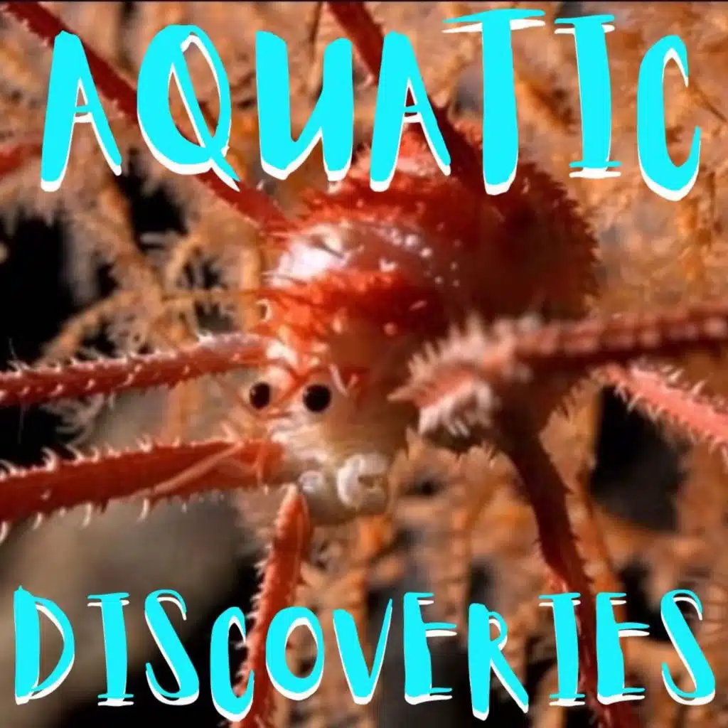 Kid News This Week: New aquatic species, tiny loud fish, new water exoplanet, DST explained, “shroom frog.”