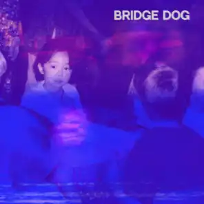 Bridge Dog