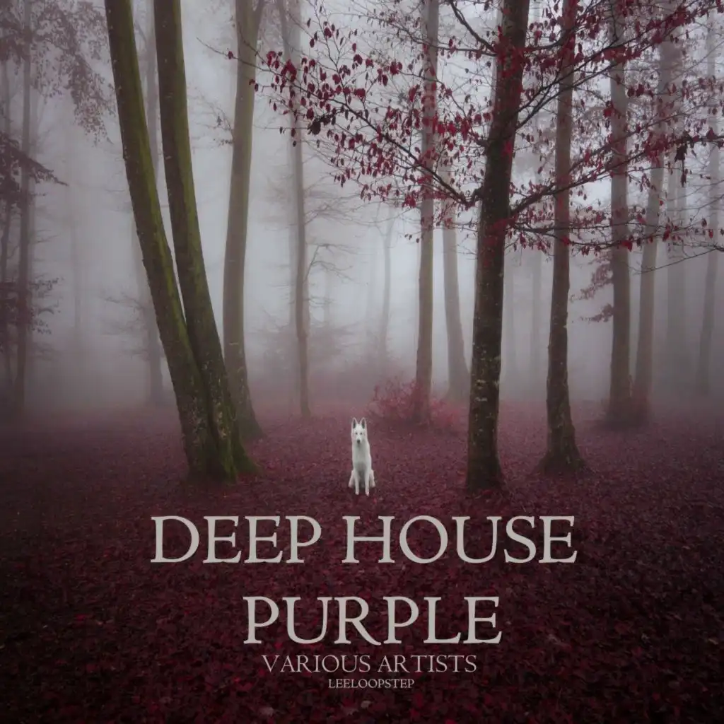 Leeloop Deep House Purple