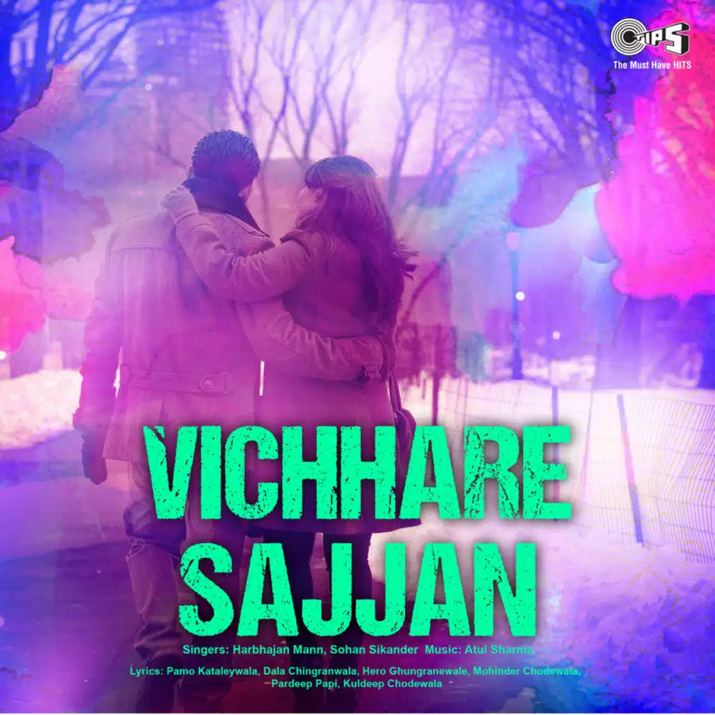 Vichhre Sajjan