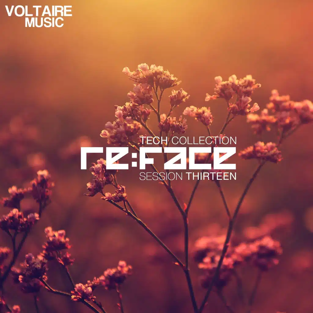 Re:Face Session Thirteen (Tech Collection)