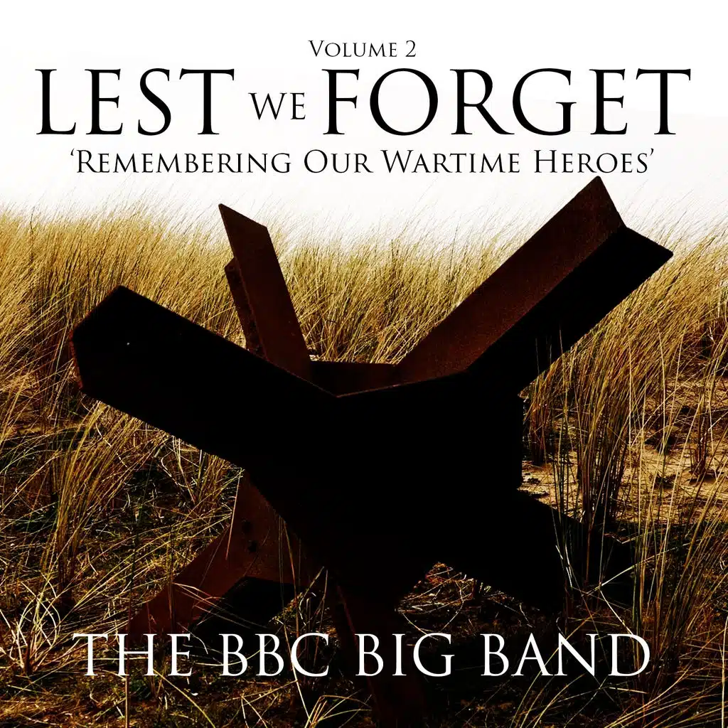 Lest We Forget, Vol. 2 (Remembering Our Wartime Heroes)