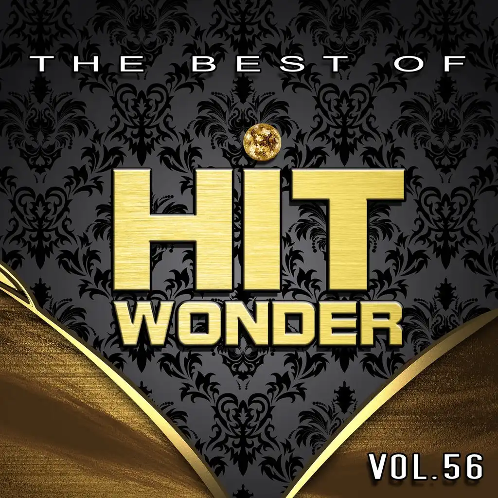 Hit Wonder: The Best Of, Vol. 56