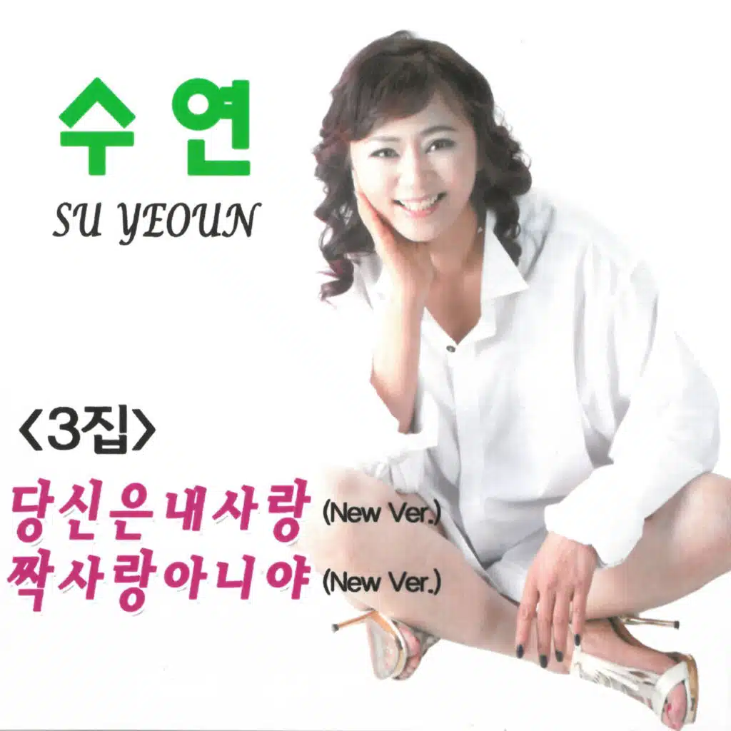수연의 3집