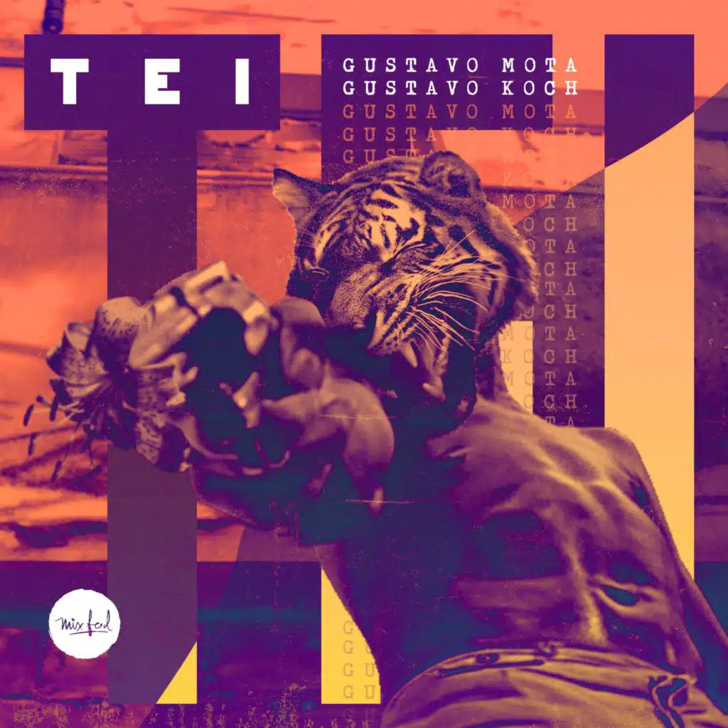 Gustavo Mota & Gustavo Koch