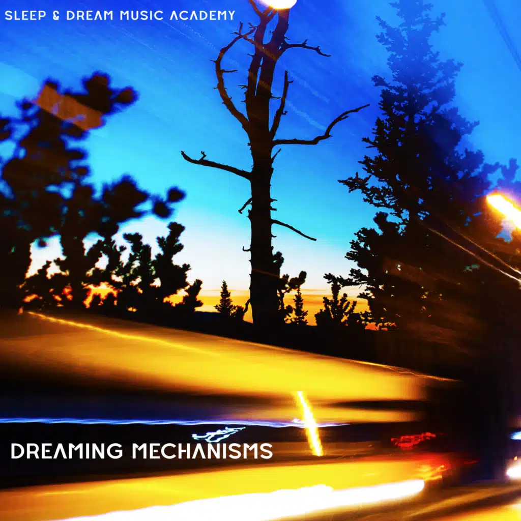 Sleep & Dream Music Academy