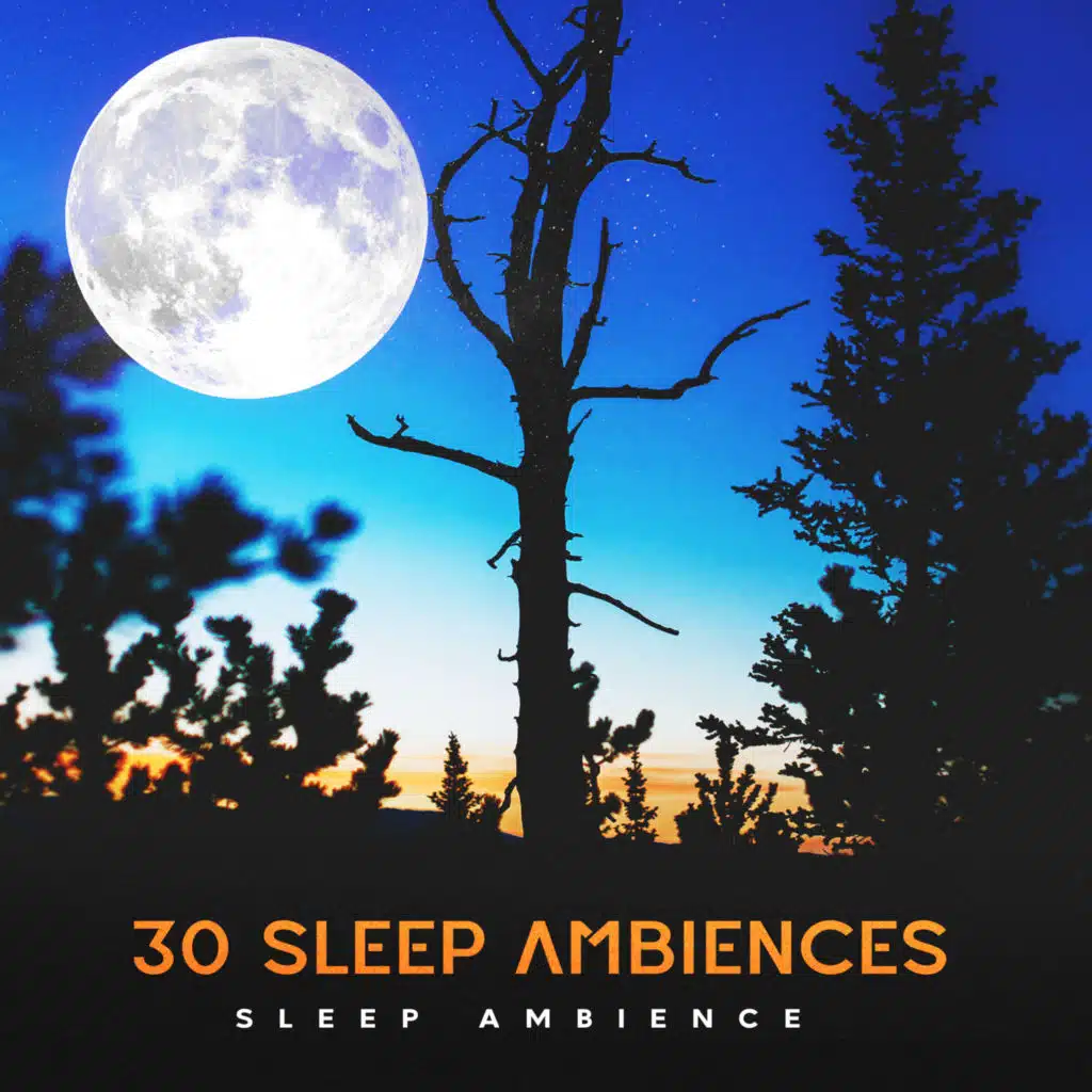 Sleep Ambience