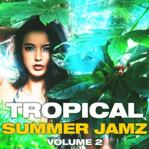 Tropical Summer Jamz, Vol. 2