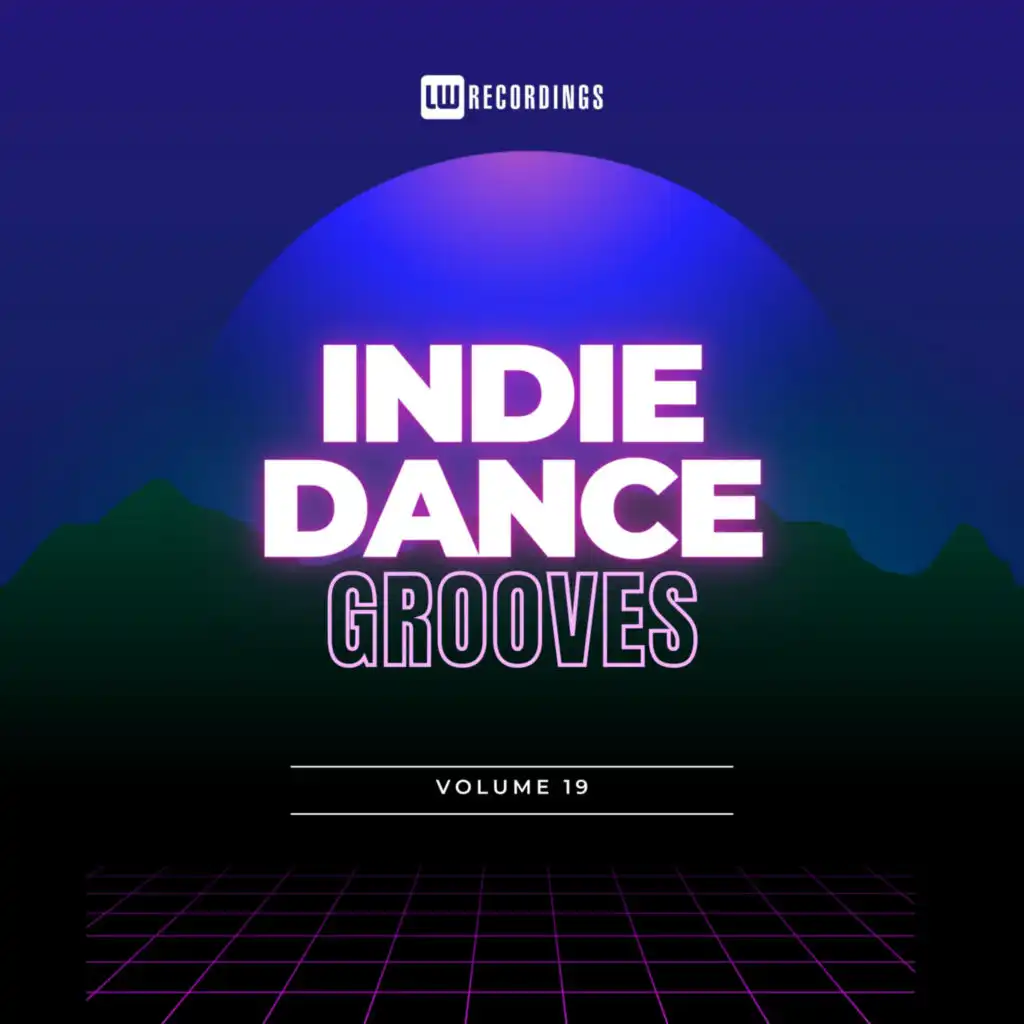 Indie Dance Grooves, Vol. 19